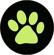 logo cat noir